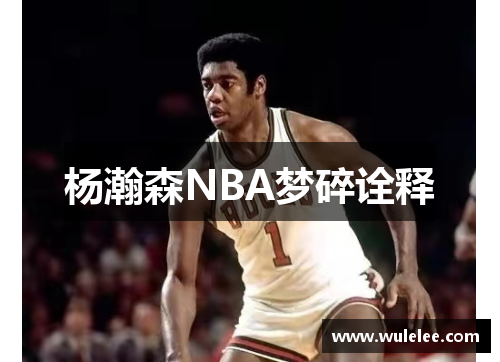 杨瀚森NBA梦碎诠释